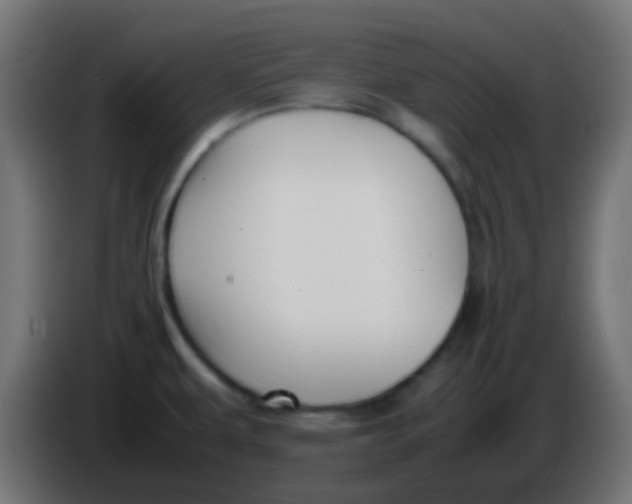 X0000086061479200704132007