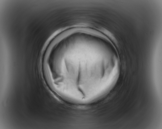 X0000086061480200704132007