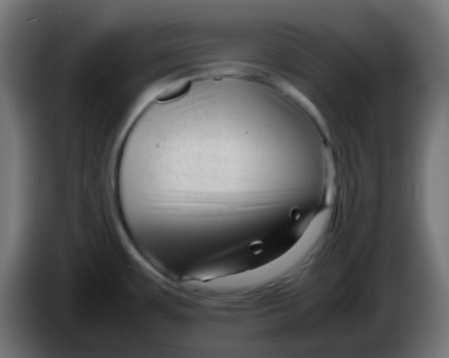 X0000086061483200704132007