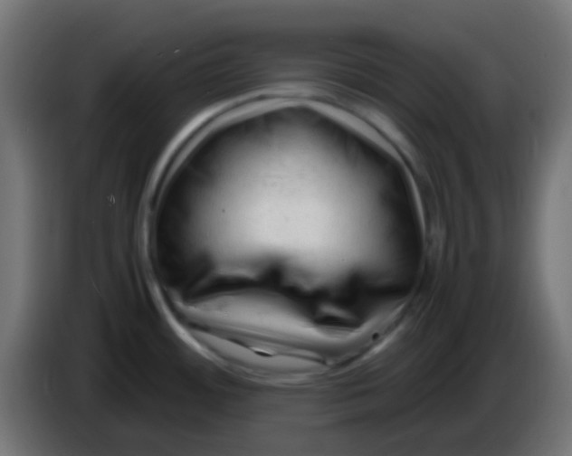 X0000086061484200704132007