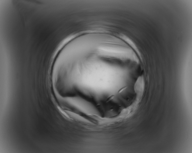 X0000086061485200704132007