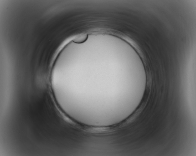 X0000086061486200704132007