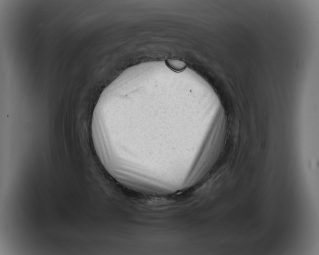 X0000086061489200704132006