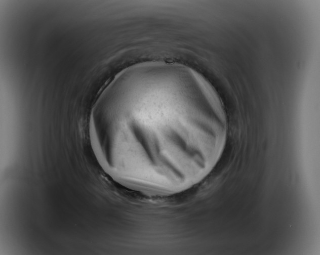 X0000086061490200704132006