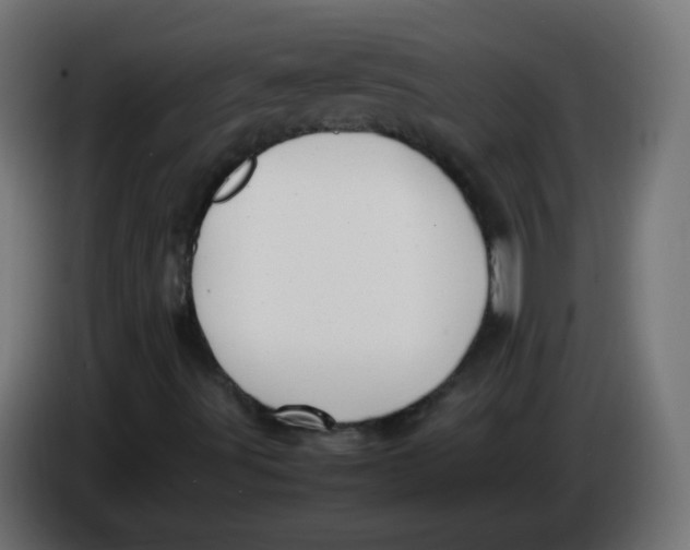 X0000086061491200704132006