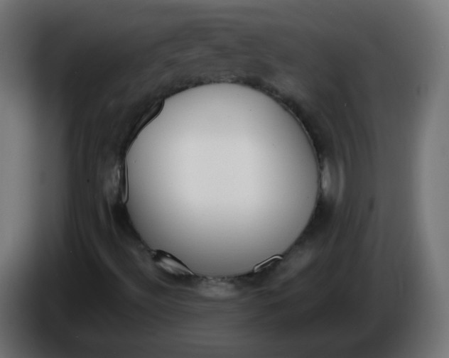 X0000086061492200704132006