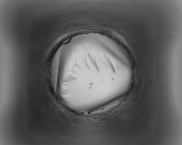 X0000086061496200704132006