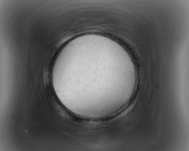 X0000086061497200704132006