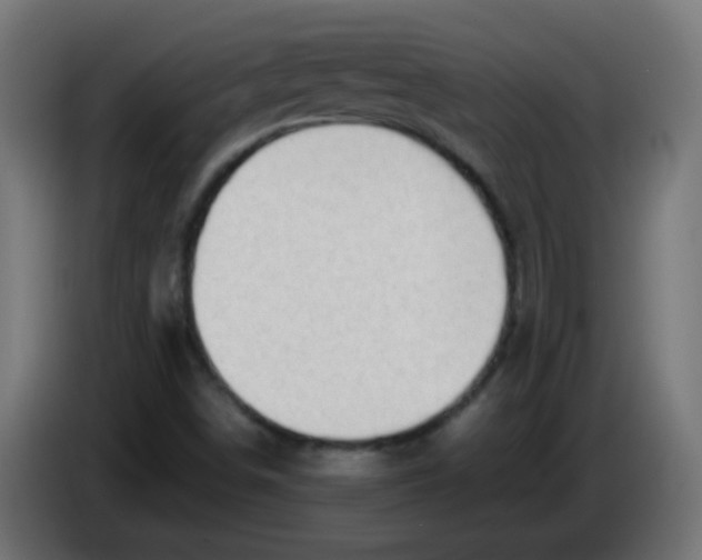 X0000086061498200704132006