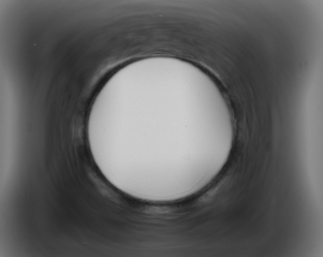 X0000086061499200704132006