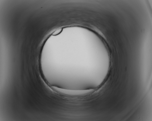 X0000086061500200704132006