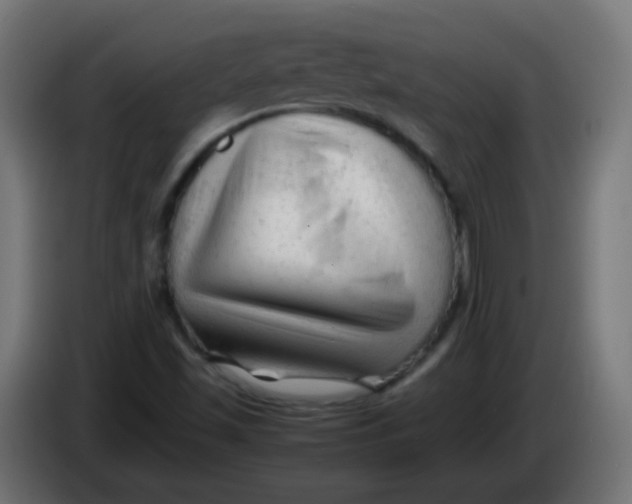 X0000086061501200704132006