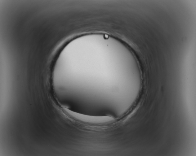 X0000086061502200704132006