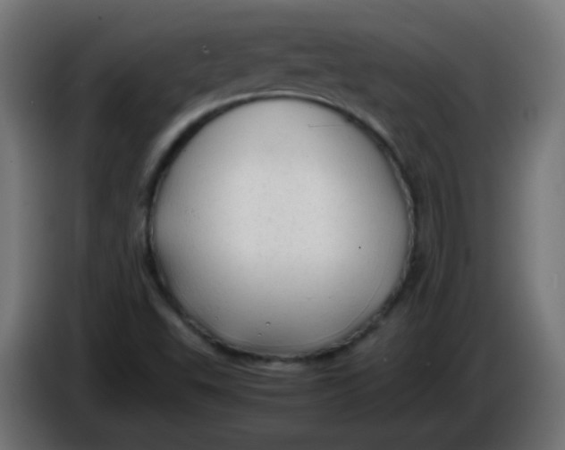 X0000086061503200704132006