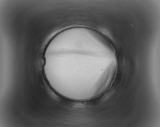 X0000086061504200704132006