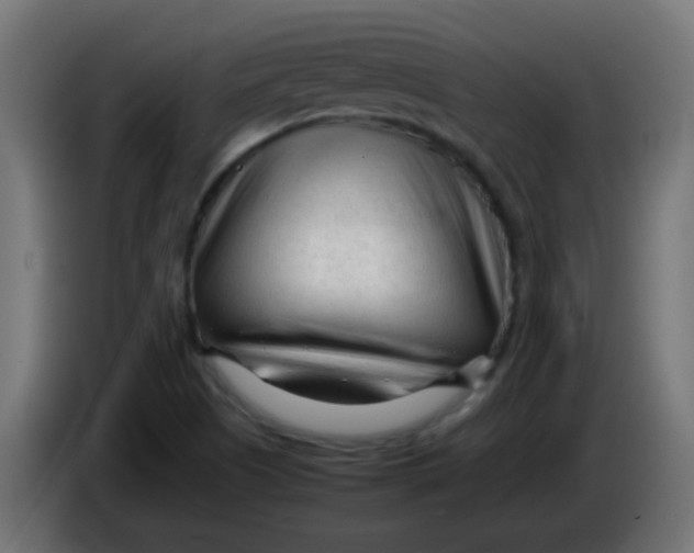 X0000086061505200704132006