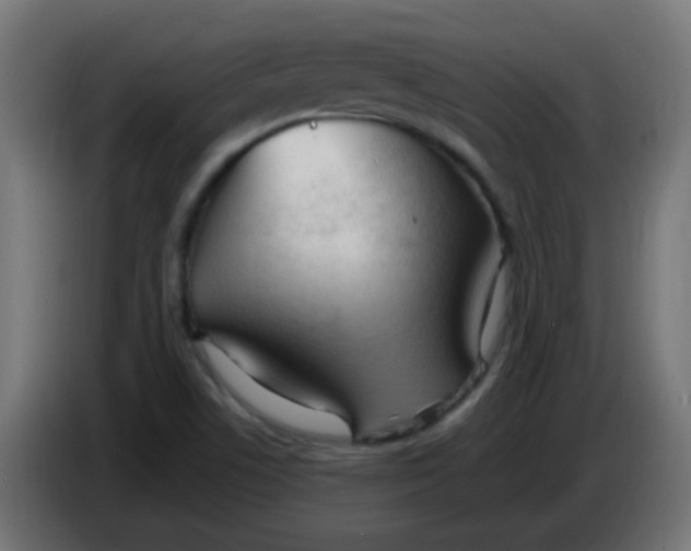 X0000086061506200704132007