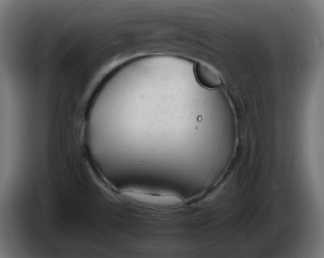 X0000086061507200704132007