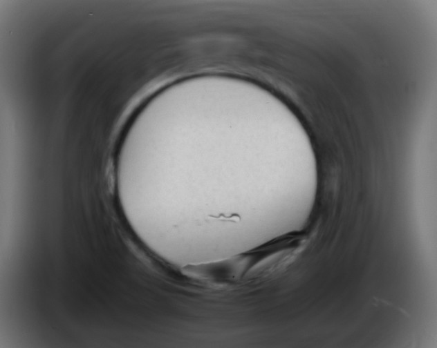 X0000086061509200704132007