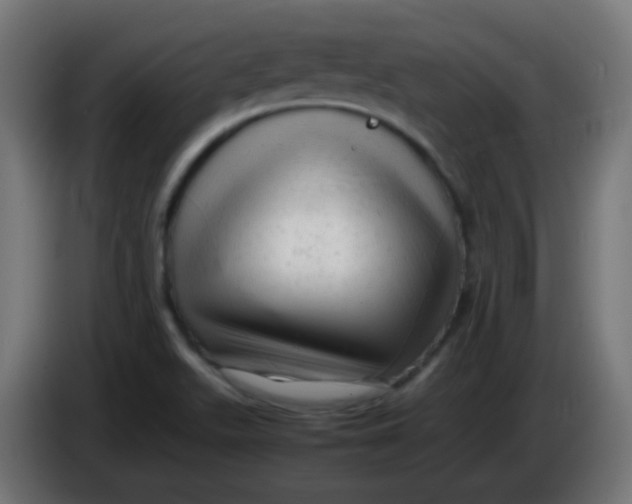 X0000086061511200704132007