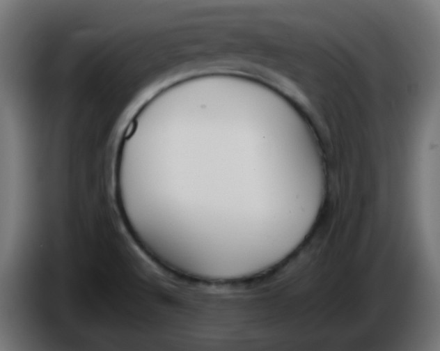 X0000086061512200704132007