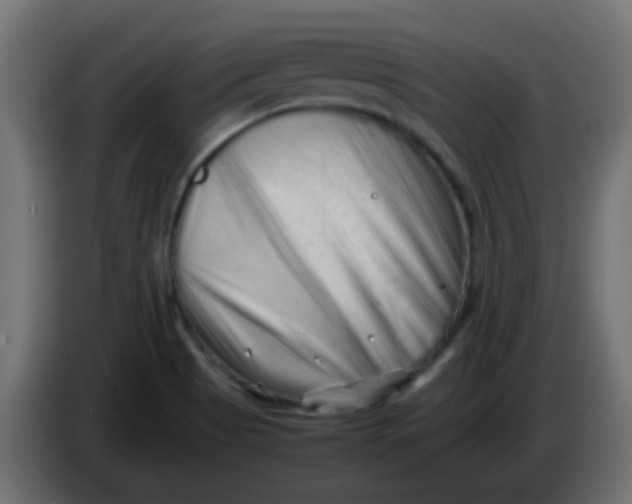 X0000086061513200704132007