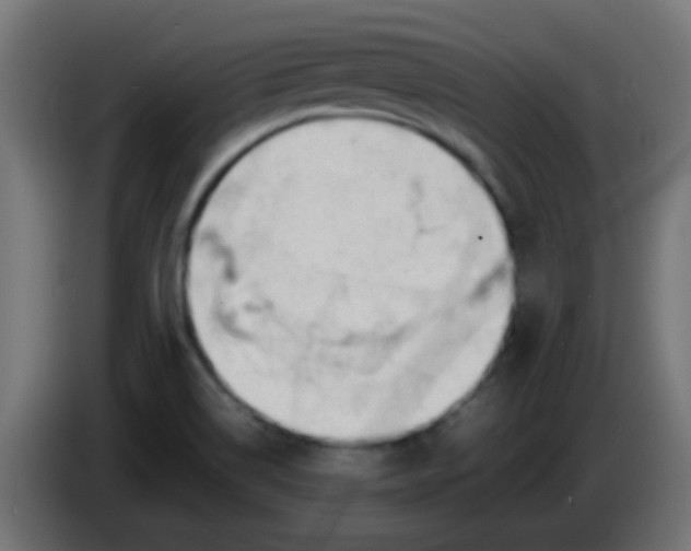 X0000086061514200704132007