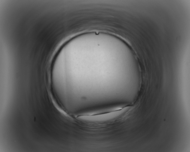 X0000086061515200704132007