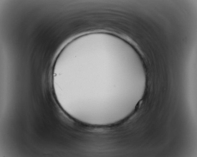 X0000086061516200704132007