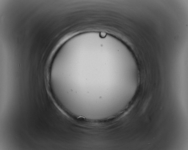 X0000086061517200704132007