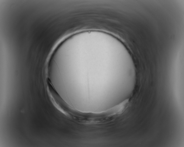 X0000086061519200704132007