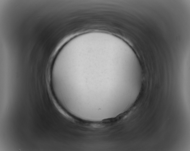 X0000086061523200704132007