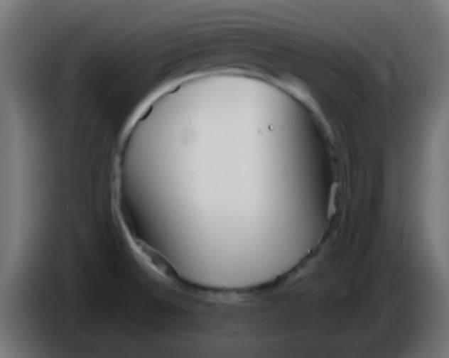 X0000086061524200704132007