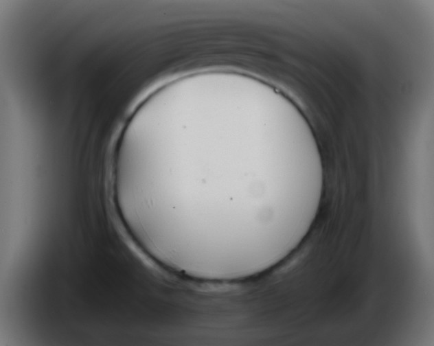 X0000086061526200704132007