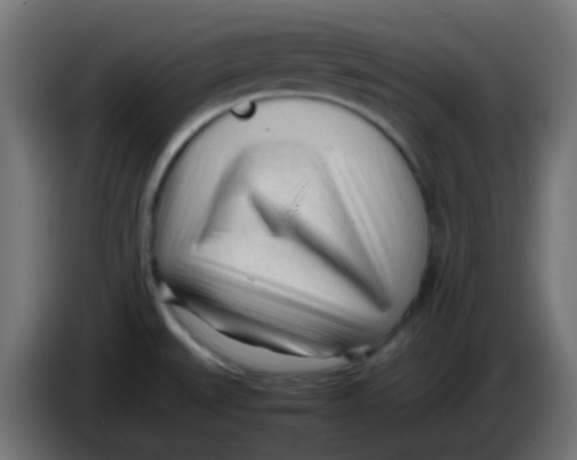 X0000086061527200704132007