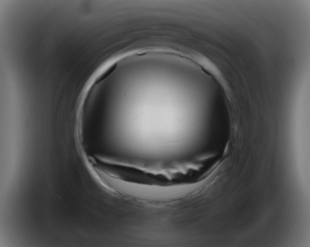 X0000086061528200704132007