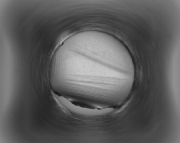 X0000086061529200704132007