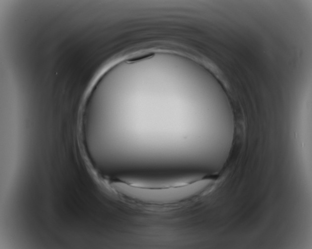 X0000086061530200704132007