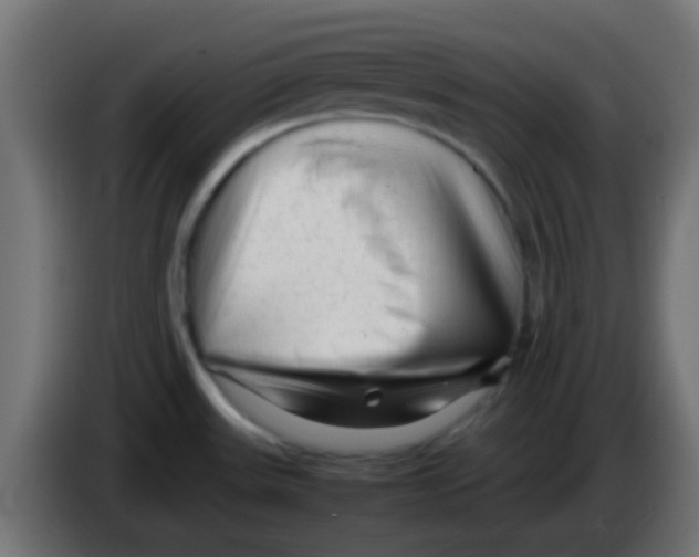 X0000086061531200704132007