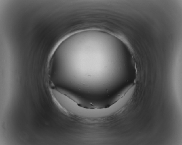 X0000086061532200704132007