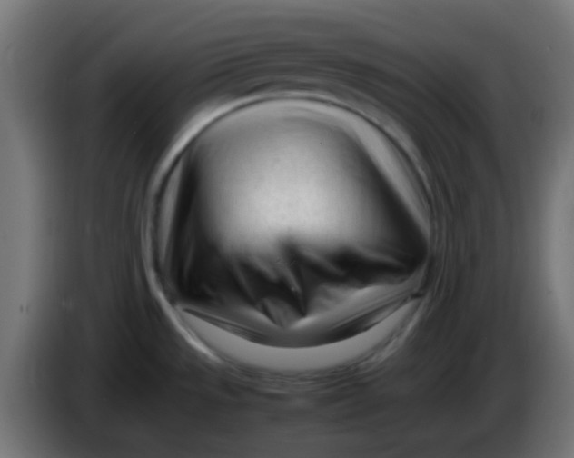 X0000086061533200704132007