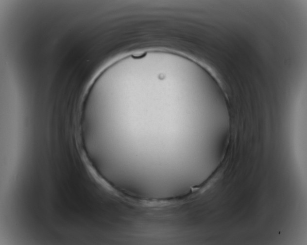 X0000086061534200704132007