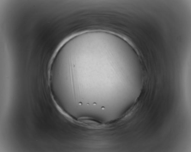 X0000086061535200704132007