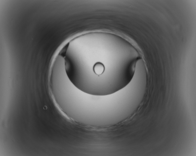 X0000086061536200704132007