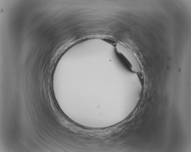 X0000086060001200704202112