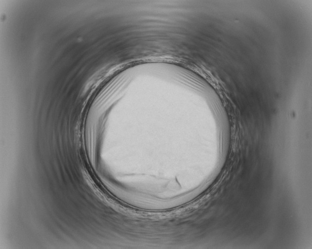 X0000086060002200704202112