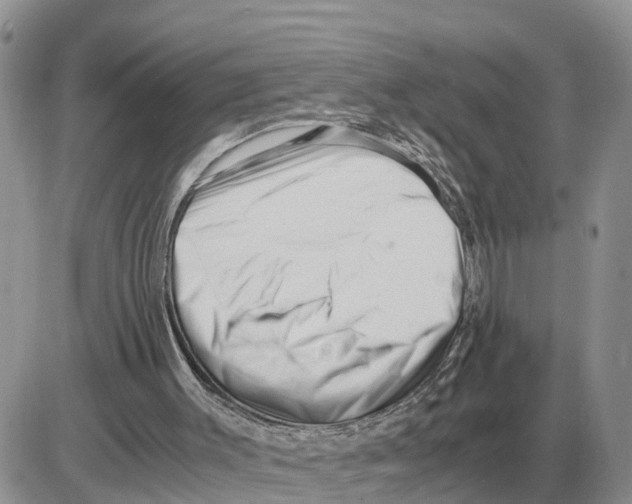 X0000086060003200704202112