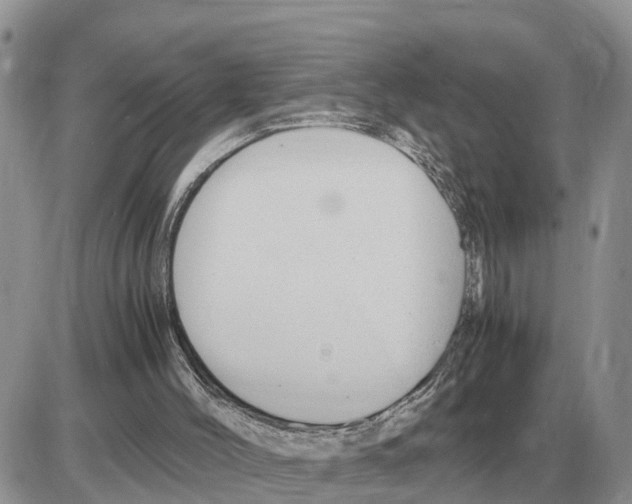 X0000086060004200704202112