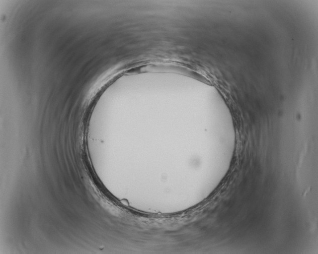 X0000086060005200704202112