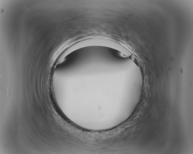 X0000086060007200704202112